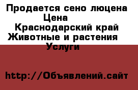 Продается сено люцена › Цена ­ 200 - Краснодарский край Животные и растения » Услуги   